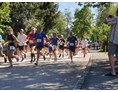 Lauf: STAFFELSEE-Panoramalauf in Murnau