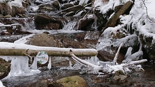 Laufen im Winter – das sollten Läufer beachten - MYLAUF