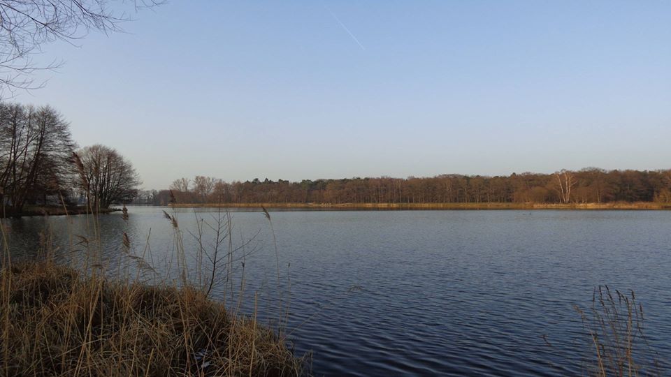 Die 3 wichtigsten Läufe am 3. Advent-Wochenende - MYLAUF