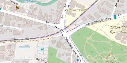 Lauf auf Satellitenbild