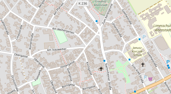 Lauf auf Satellitenbild