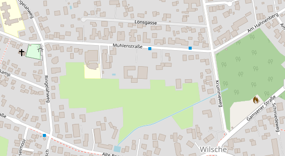 Lauf auf Satellitenbild