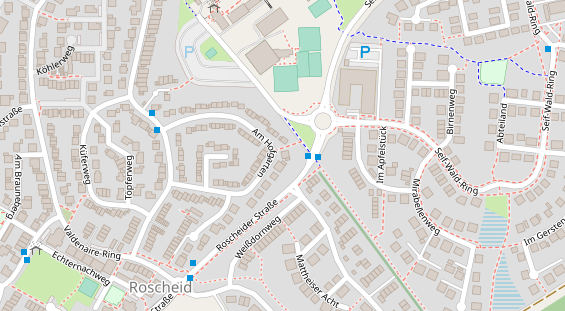 Lauf auf Satellitenbild