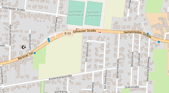 Lauf auf Satellitenbild