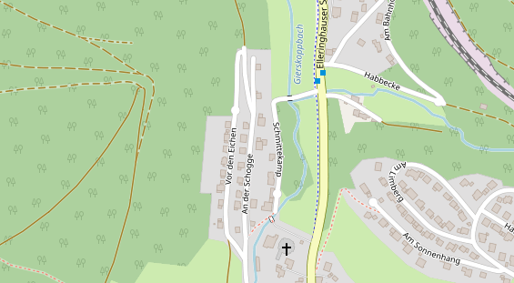 Lauf auf Satellitenbild