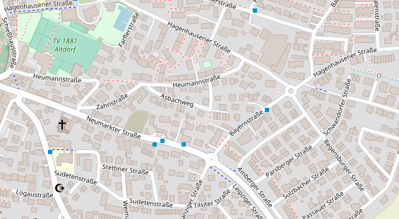 Lauf auf Satellitenbild