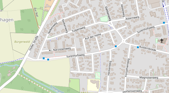 Lauf auf Satellitenbild