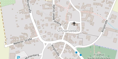 Lauf auf Satellitenbild