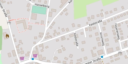 Lauf auf Satellitenbild