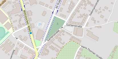 Lauf auf Satellitenbild