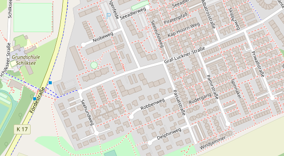 Lauf auf Satellitenbild