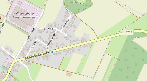 Lauf auf Satellitenbild