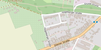 Lauf auf Satellitenbild