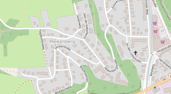 Lauf auf Satellitenbild