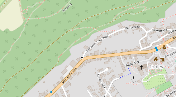 Lauf auf Satellitenbild