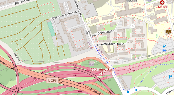 Lauf auf Satellitenbild