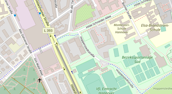 Lauf auf Satellitenbild