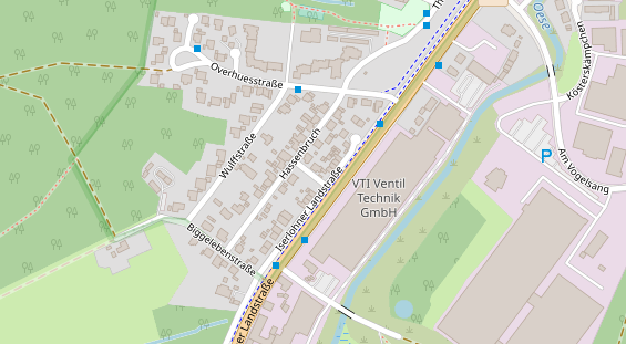 Lauf auf Satellitenbild