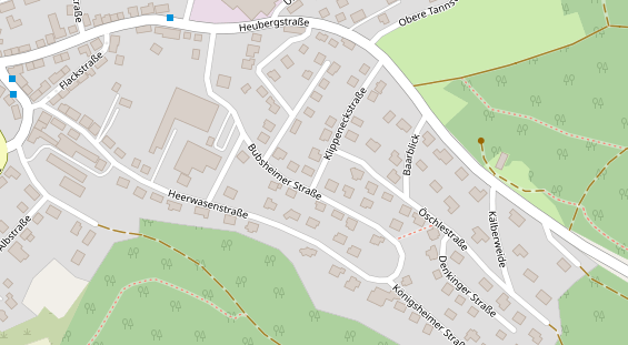 Lauf auf Satellitenbild