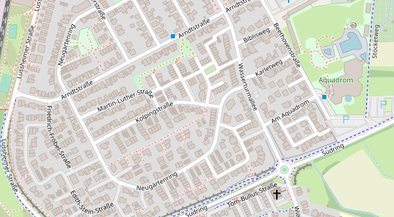 Lauf auf Satellitenbild