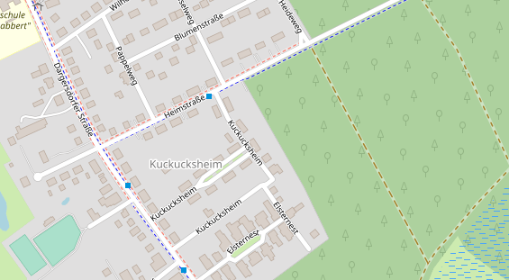 Lauf auf Satellitenbild