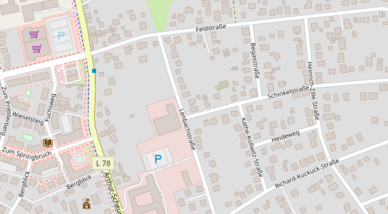 Lauf auf Satellitenbild