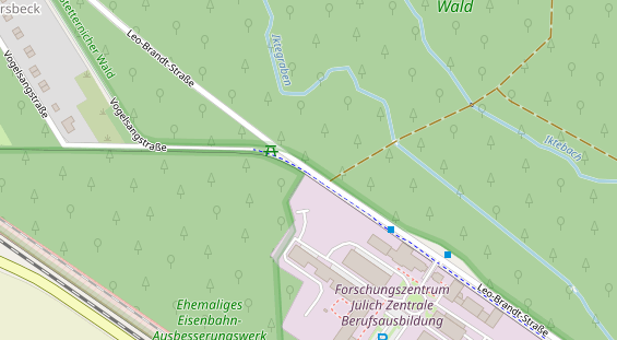 Lauf auf Satellitenbild