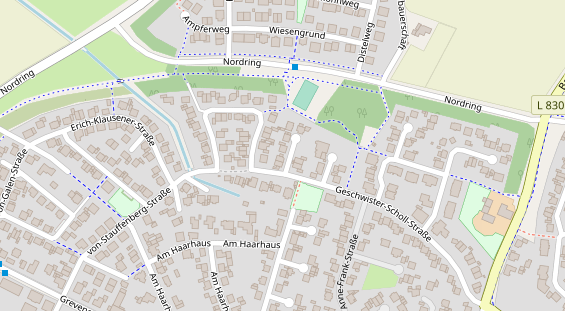 Lauf auf Satellitenbild