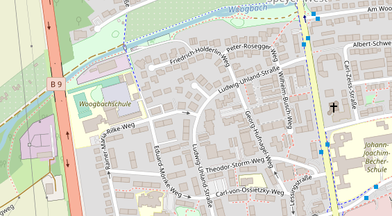 Lauf auf Satellitenbild
