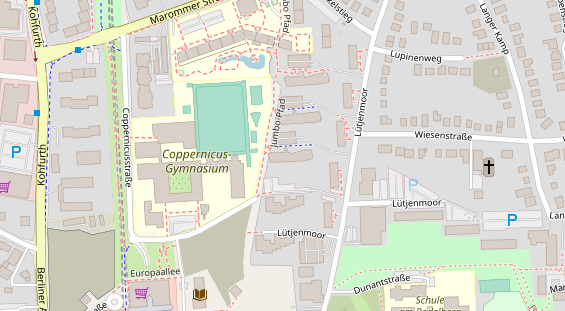 Lauf auf Satellitenbild