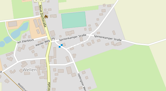 Lauf auf Satellitenbild