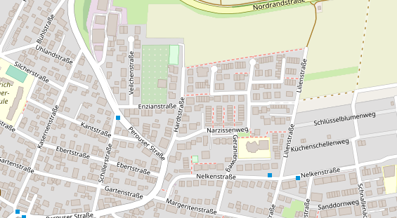 Lauf auf Satellitenbild