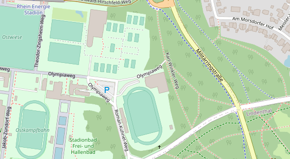 Lauf auf Satellitenbild