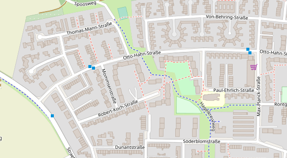 Lauf auf Satellitenbild