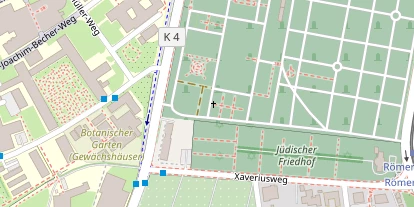 Lauf auf Satellitenbild