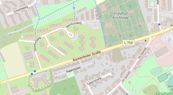 Lauf auf Satellitenbild