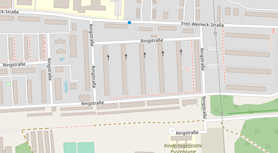 Lauf auf Satellitenbild