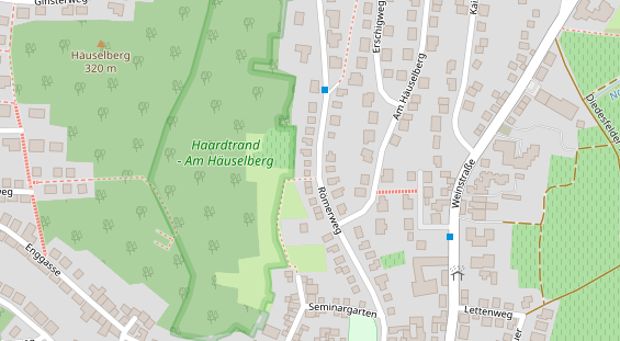 Lauf auf Satellitenbild