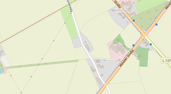 Lauf auf Satellitenbild