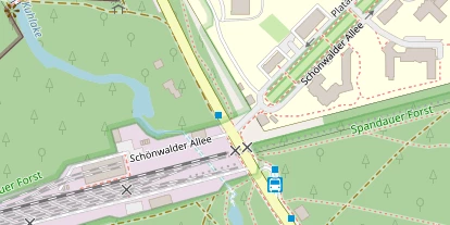 Lauf auf Satellitenbild