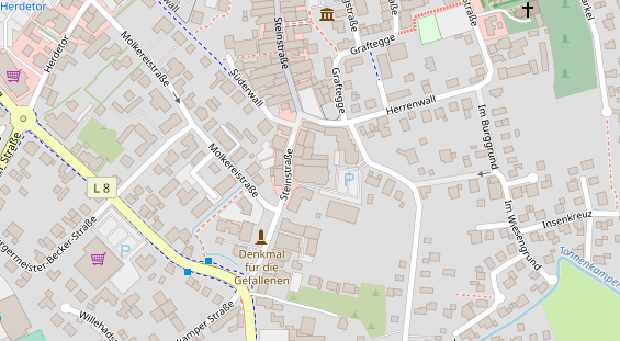 Lauf auf Satellitenbild