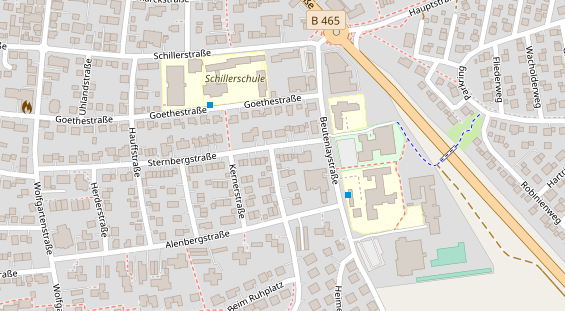 Lauf auf Satellitenbild