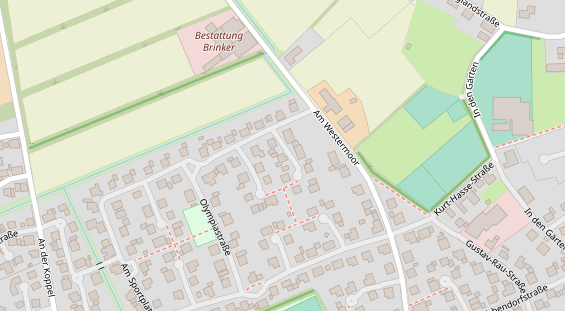 Lauf auf Satellitenbild