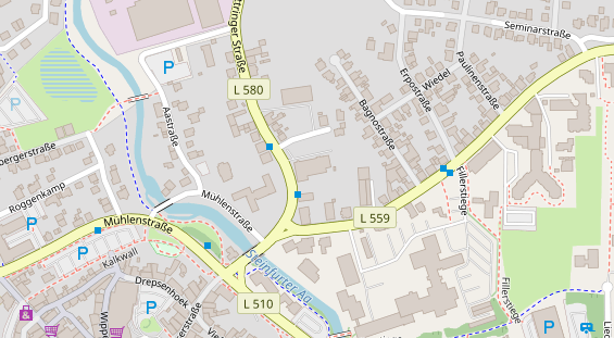 Lauf auf Satellitenbild