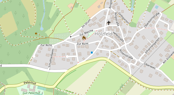 Lauf auf Satellitenbild