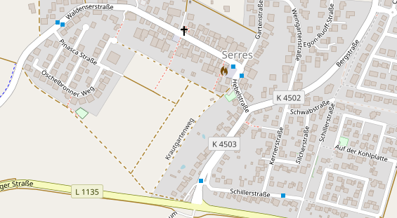 Lauf auf Satellitenbild