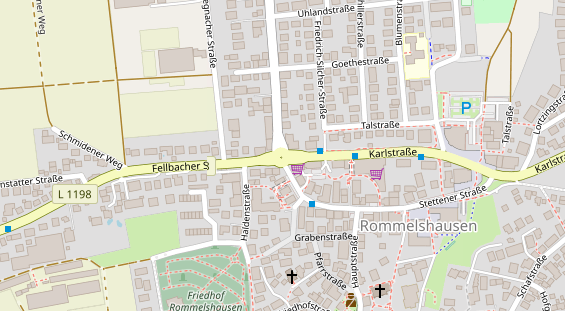 Lauf auf Satellitenbild