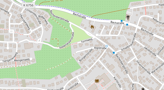 Lauf auf Satellitenbild