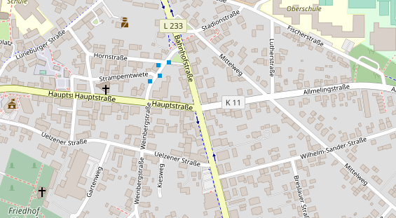 Lauf auf Satellitenbild