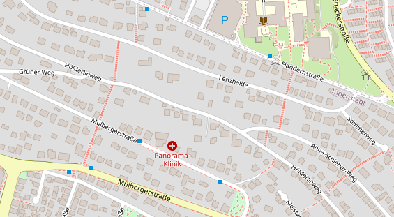 Lauf auf Satellitenbild